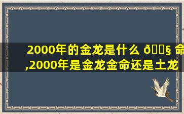 2000年的金龙是什么 🐧 命,2000年是金龙金命还是土龙土 🦄 命